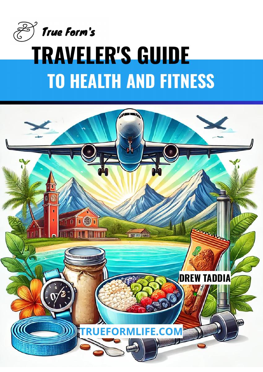 The Traveler’s Guide book cover